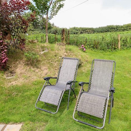 Ffynnonlwyd Cottage Llangynin Zewnętrze zdjęcie