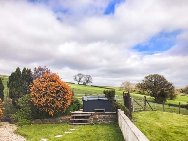 Ffynnonlwyd Cottage Llangynin Zewnętrze zdjęcie