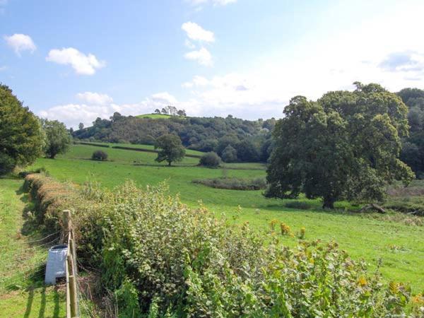 Ffynnonlwyd Cottage Llangynin Zewnętrze zdjęcie